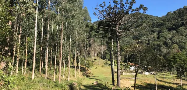 Fazenda / Sítio / Chácara à venda, 919600000m² no , Rio Branco do Sul