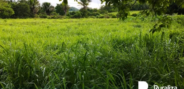 Fazenda / Sítio / Chácara à venda, 193m² no , Rio Sono