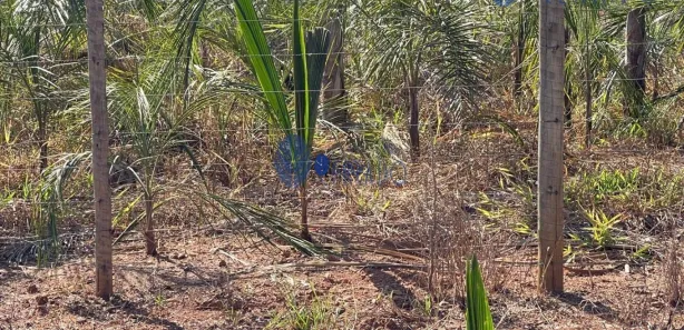 Terreno / Lote / Condomínio à venda, 20m² no , Corumbá de Goiás