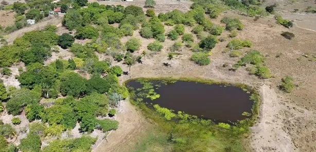 Fazenda / Sítio / Chácara com 2 Quartos à venda, 90000m² no , Sairé