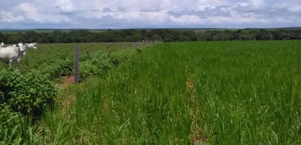 Fazenda / Sítio / Chácara à venda, 86757000m² no , Guaraí