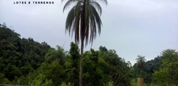 Terreno / Lote / Condomínio à venda, 20000m² no Caeté, Caeté