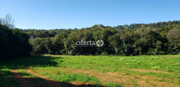 Fazenda / Sítio / Chácara à venda, 22385m² no Porto das Laranjeiras, Araucária
