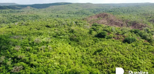 Fazenda / Sítio / Chácara à venda, 1113m² no , Rio Sono