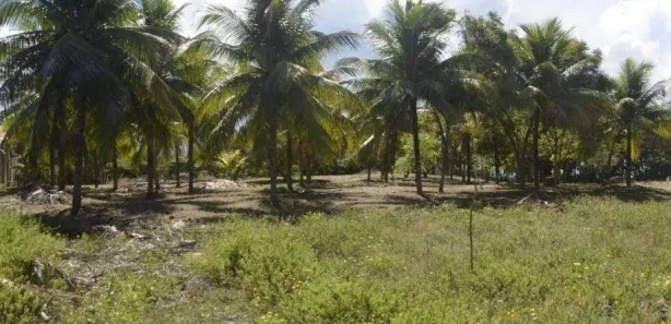 Terreno / Lote / Condomínio à venda, 7m² no Aruana, Aracaju