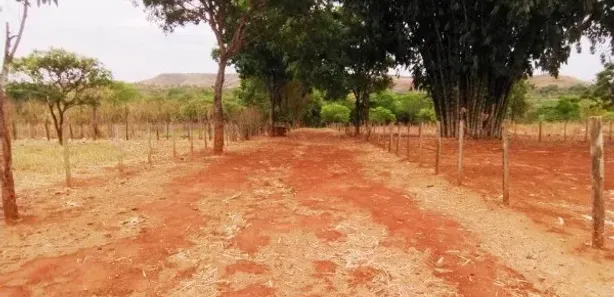 Fazenda / Sítio / Chácara com 2 Quartos à venda, 60000m² no Residencial Alvorada, Novo Gama