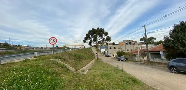 Terreno / Lote Comercial à venda, 232m² no Rondinha, Campo Largo