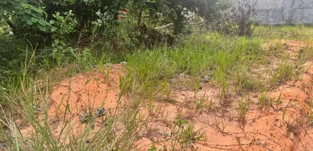 Terreno / Lote / Condomínio à venda, 153m² no Barra do Pojuca (Monte Gordo), Camaçari