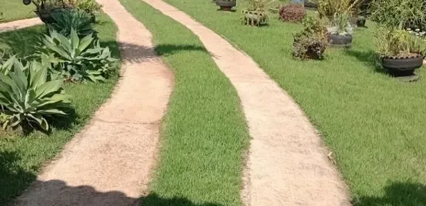 Casa de Condomínio com 3 Quartos à venda, 1000m² no Condomínio Residencial Fazenda Mirante, Igarapé