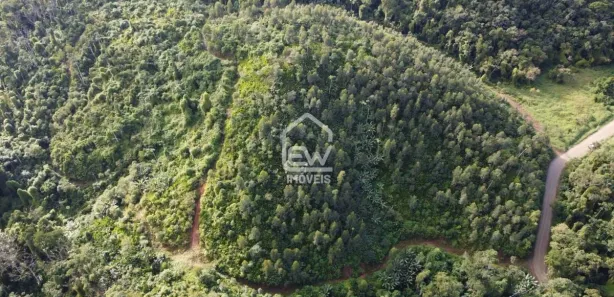 Fazenda / Sítio / Chácara com 1 Quarto à venda, 117526m² no , Massaranduba