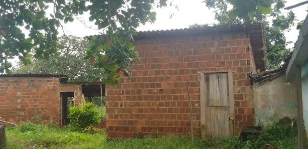 Fazenda / Sítio / Chácara com 4 Quartos à venda, 40000m² no , Feira Nova