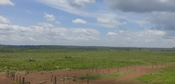 com 1 Quarto à venda, 320m² no , Pedro Afonso