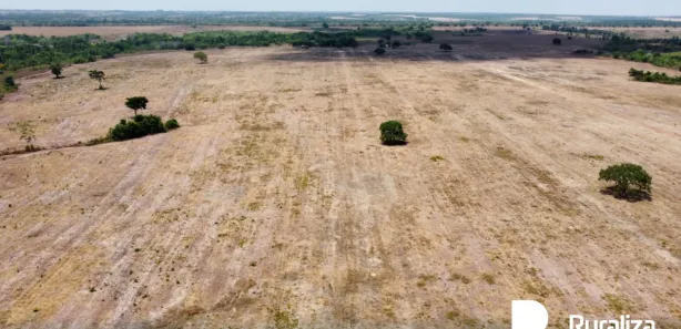 Fazenda / Sítio / Chácara à venda, 537m² no Setor Central, Divinópolis do Tocantins
