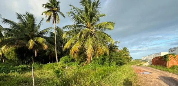 Terreno / Lote / Condomínio à venda, 40000m² no Centro, Barra dos Coqueiros
