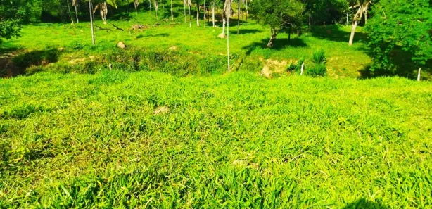 Fazenda / Sítio / Chácara com 2 Quartos à venda, 210000m² no Padre Bernardo, Padre Bernardo