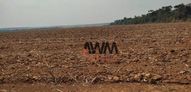 Fazenda / Sítio / Chácara à venda, 24829200m² no , Pedro Afonso