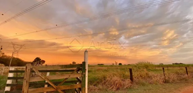 Fazenda / Sítio / Chácara com 5 Quartos à venda, 121000m² no Recreio Campestre Idanorma, Araraquara
