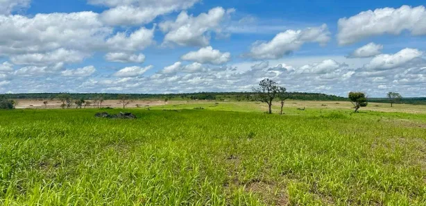 Fazenda / Sítio / Chácara à venda, 1m² no , Rio Sono