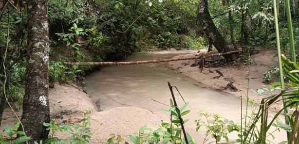 Fazenda / Sítio / Chácara à venda, 1m² no , Paranã