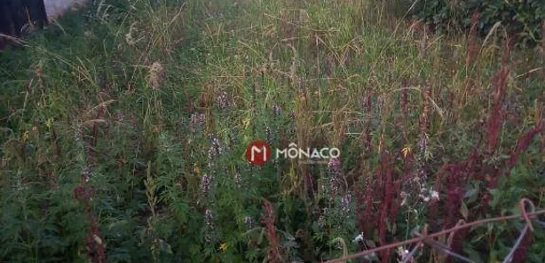 Terreno / Lote / Condomínio à venda, 670m² no Alvorada do Sul, Alvorada do Sul