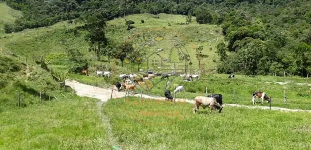 Fazenda / Sítio / Chácara com 2 Quartos à venda, 25m² no Centro, Macaé