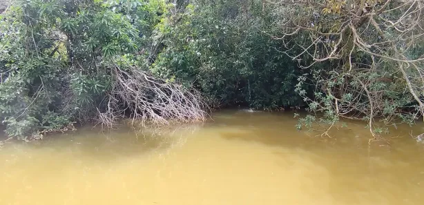 Fazenda / Sítio / Chácara com 4 Quartos à venda, 20000m² no Ponte Alta Norte, Brasília