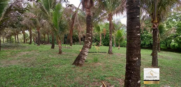 Fazenda / Sítio / Chácara com 7 Quartos à venda, 36000m² no Gravatá Centro, Gravatá