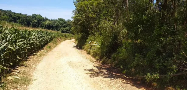 Fazenda / Sítio / Chácara com 1 Quarto à venda, 34550m² no Mato Dentro, Almirante Tamandaré