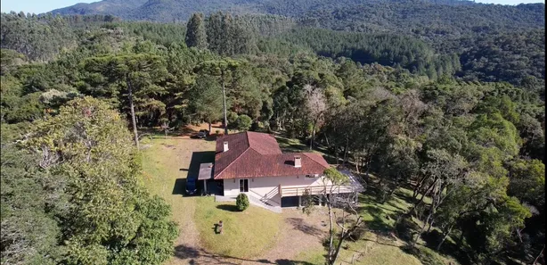 Fazenda / Sítio / Chácara com 3 Quartos à venda, 242000m² no Palmital, Quatro Barras