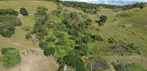 Fazenda / Sítio / Chácara com 2 Quartos à venda, 125000m² no , Sairé
