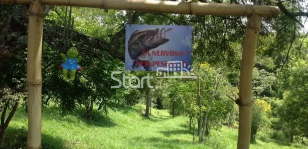 Fazenda / Sítio / Chácara com 5 Quartos à venda, 200m² no , Pilar do Sul