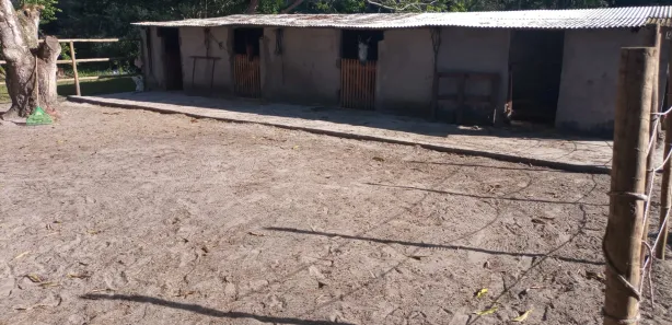 Fazenda / Sítio / Chácara com 3 Quartos para venda ou aluguel, 150m² no Barra do Pojuca (Monte Gordo), Camaçari