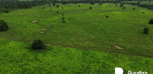 Fazenda / Sítio / Chácara à venda, 1016m² no , Arapoema