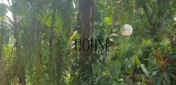 Fazenda / Sítio / Chácara com 4 Quartos à venda, 6797m² no Vila Domingues, Votorantim