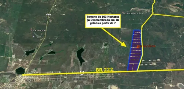 Terreno / Lote / Condomínio à venda, 1630000m² no , São Gonçalo do Amarante