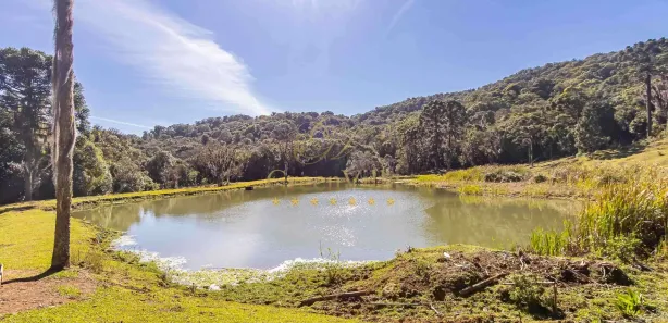 Fazenda / Sítio / Chácara com 5 Quartos à venda, 3681067m² no Zona Rural, Tijucas do Sul