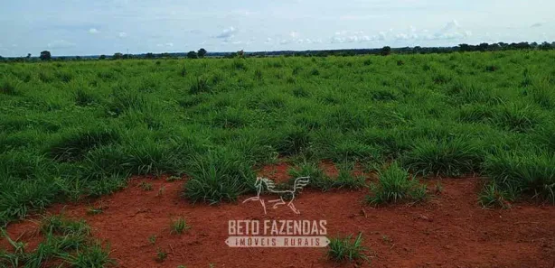 Fazenda / Sítio / Chácara à venda, 76850000m² no , Formoso do Araguaia
