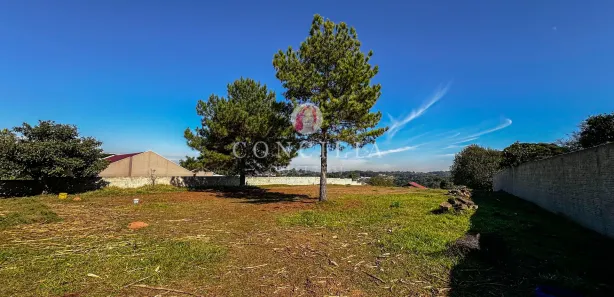 Fazenda / Sítio / Chácara à venda, 3300m² no Jardim Boa Vista, Campo Largo