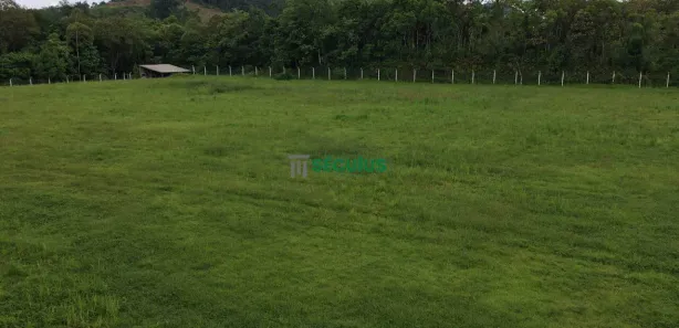 Galpão / Depósito / Armazém à venda, 4469m² no Chico de Paulo, Jaraguá do Sul