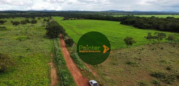 Fazenda / Sítio / Chácara à venda, 7000000m² no Setor Central, Gurupi