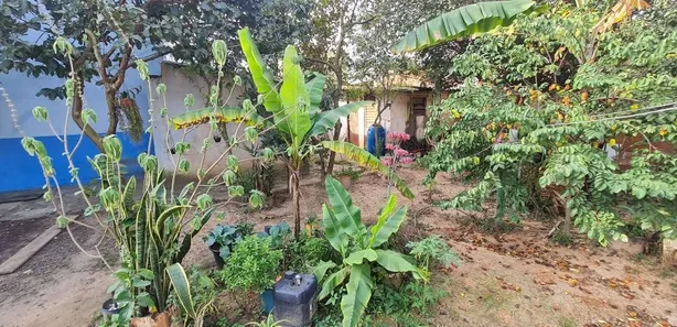 Casa com 2 Quartos à venda, 156m² no Centro, Saltinho