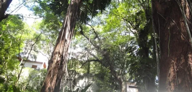 Terreno / Lote / Condomínio à venda, 349m² no Barro Branco (Zona Norte), São Paulo
