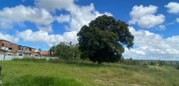 Loja / Salão / Ponto Comercial à venda, 20000m² no Cajazeiras de Abrantes (Abrantes), Camaçari