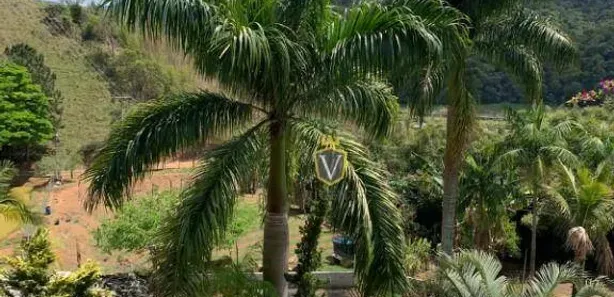 Fazenda / Sítio / Chácara com 5 Quartos à venda, 3000m² no Centro, Nazaré Paulista