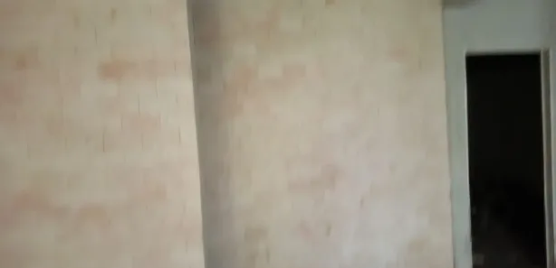 Casa de Condomínio com 3 Quartos à venda, 1230m² no Ponte Alta Norte, Brasília