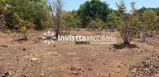 Fazenda / Sítio / Chácara à venda, 639m² no Centro, Pium