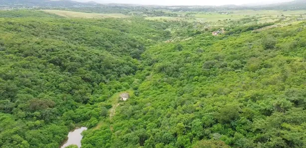 Fazenda / Sítio / Chácara com 2 Quartos à venda, 210000m² no , Pombos