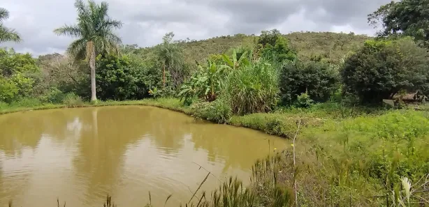 Fazenda / Sítio / Chácara com 4 Quartos à venda, 20000m² no Ponte Alta Norte, Brasília
