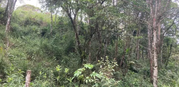 Terreno / Lote / Condomínio à venda, 4000m² no São João Batista, São João Batista
