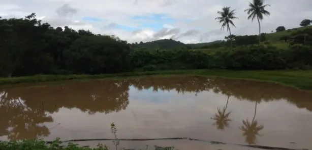 Fazenda / Sítio / Chácara com 7 Quartos à venda, 240000m² no Matriz, Vitória de Santo Antão